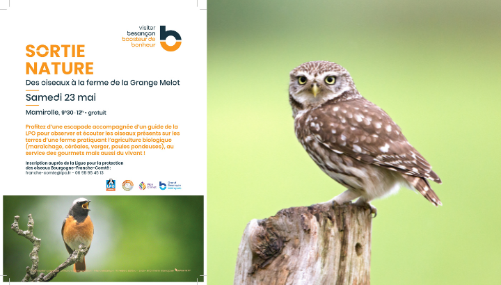 Des oiseaux à la ferme de la Grange Melot